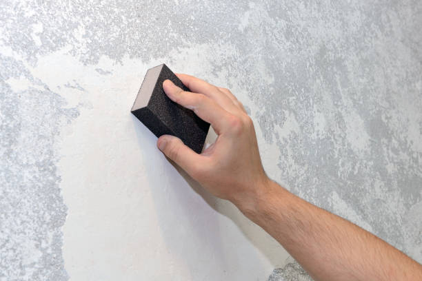 Best Mold Damage Restoration  in Mattituck, NY
