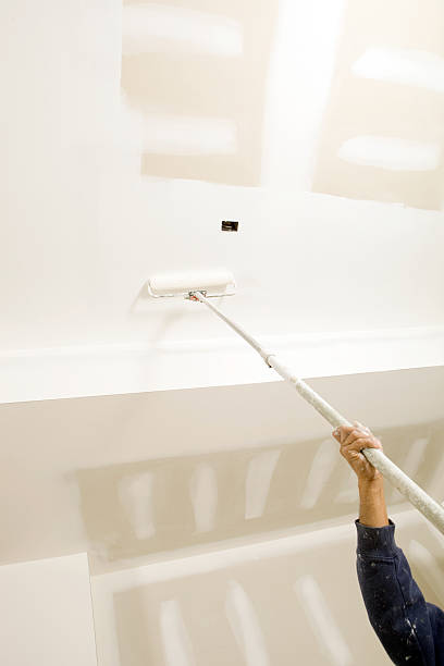 Best Mold Documentation for Insurance Claims  in Mattituck, NY