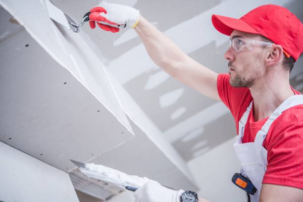 Best Basement Mold Removal  in Mattituck, NY